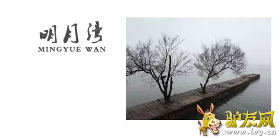 图片9.png