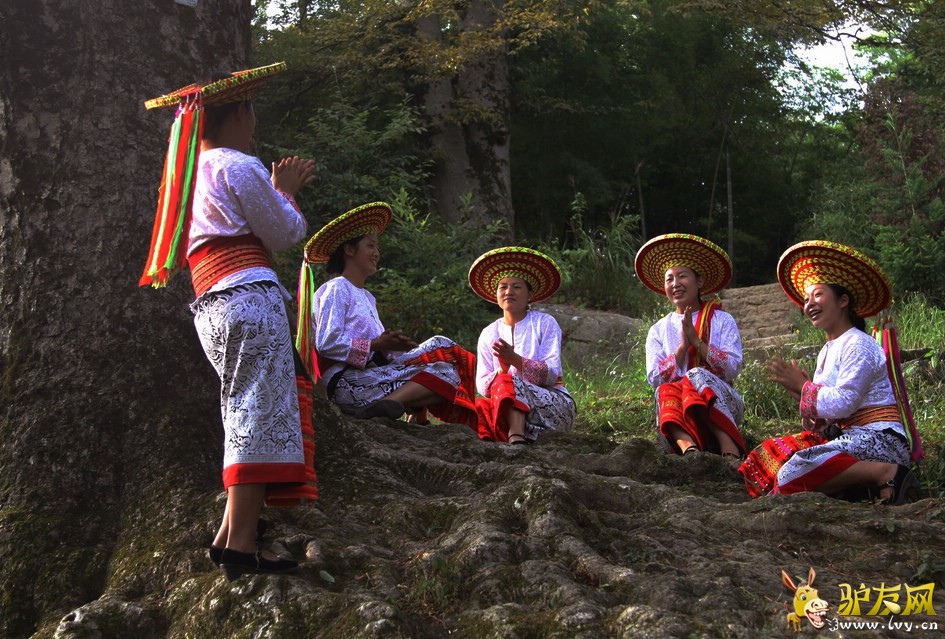 花瑶日常.jpg